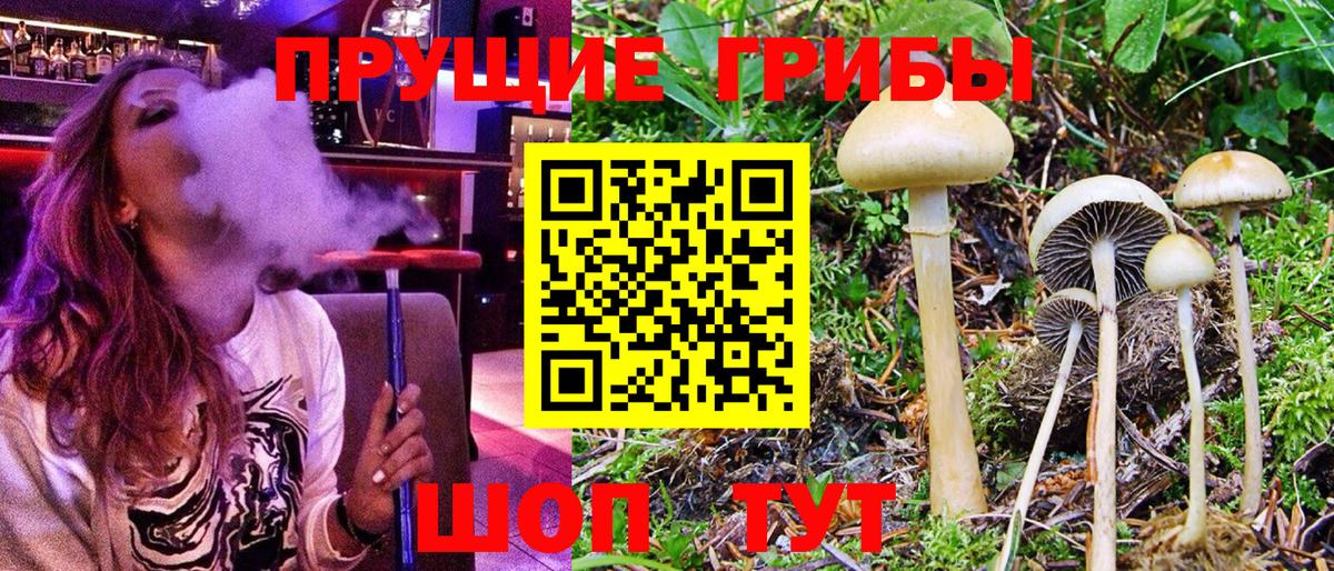 Псилоцибиновые грибы ЛСД Беслан